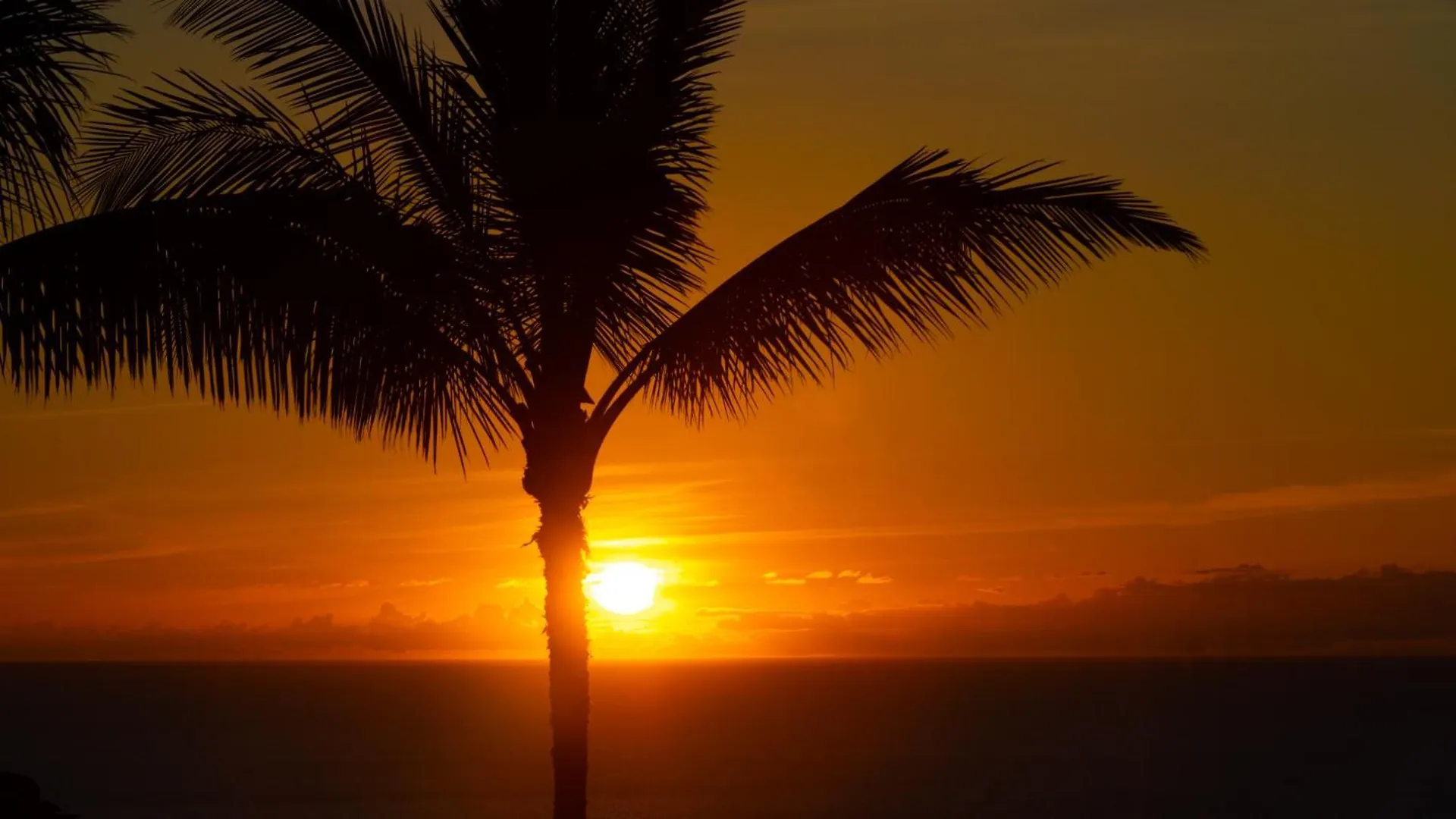 Endless Ocean Views Abundant 3Br Waiulaula Home With Endless Ocean Views Hapuna Beach Estados Unidos da América
