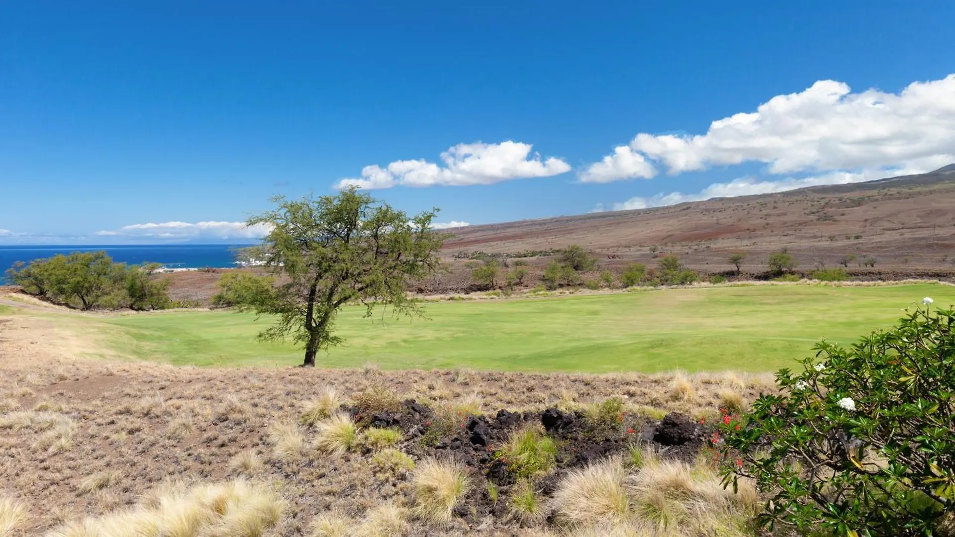 Apartamento Endless Ocean Views Abundant 3Br Waiulaula Home With Endless Ocean Views Hapuna Beach